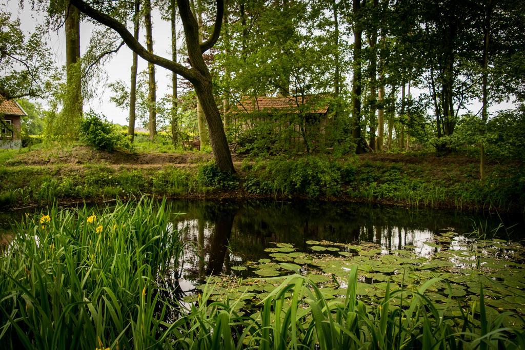 Thil'S Bed And Breakfast Ambt Delden 外观 照片