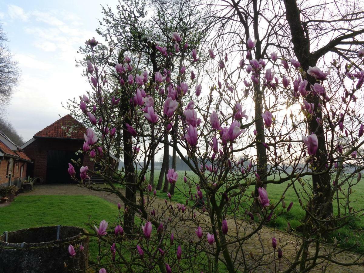 Thil'S Bed And Breakfast Ambt Delden 外观 照片